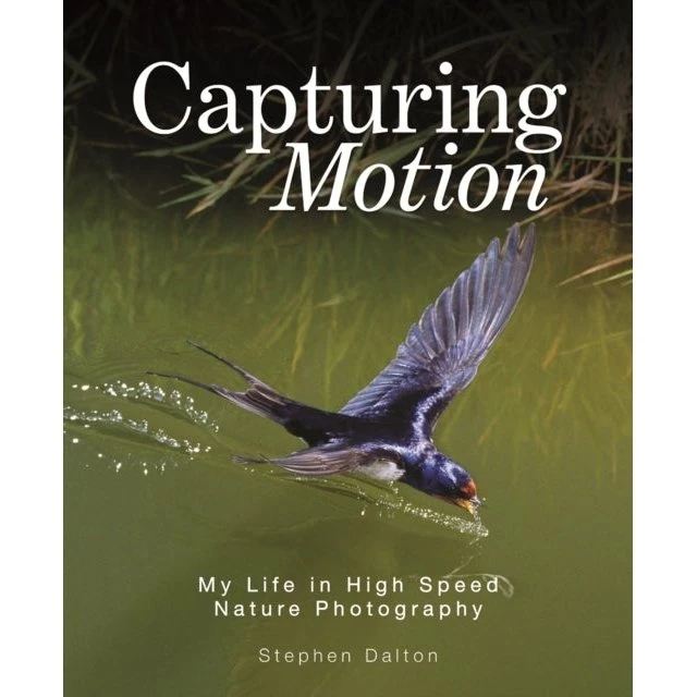 Stephen Dalton: Capturing Motion - High Speed Nature Photography