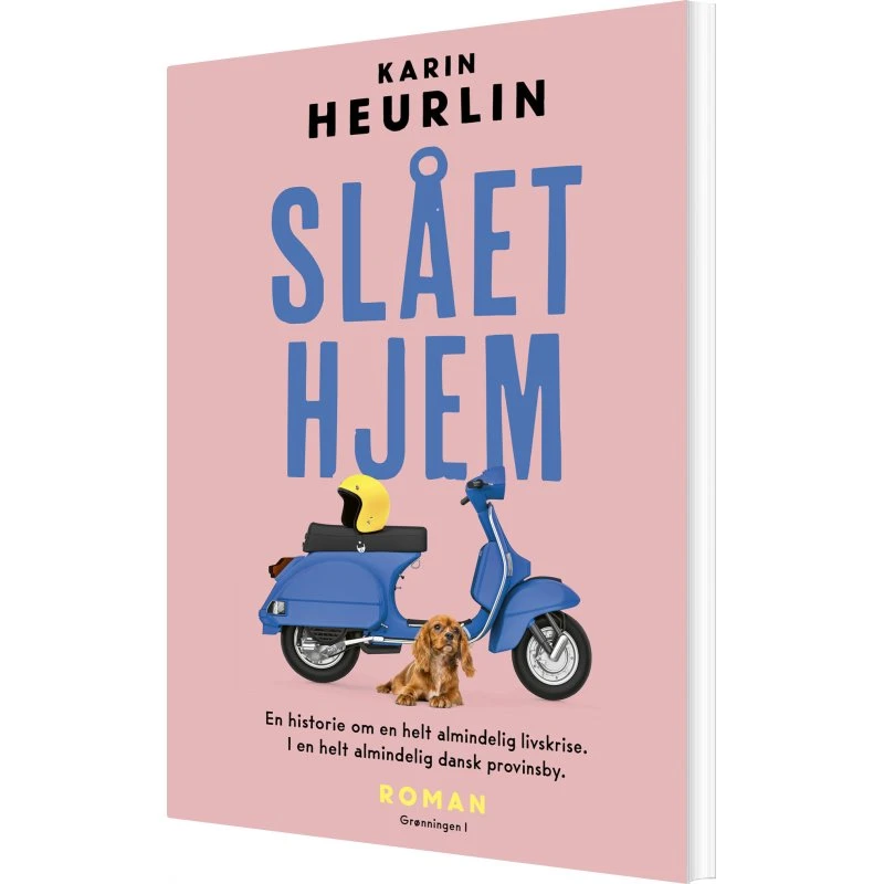 Slået hjem – roman af Karin Heurlin