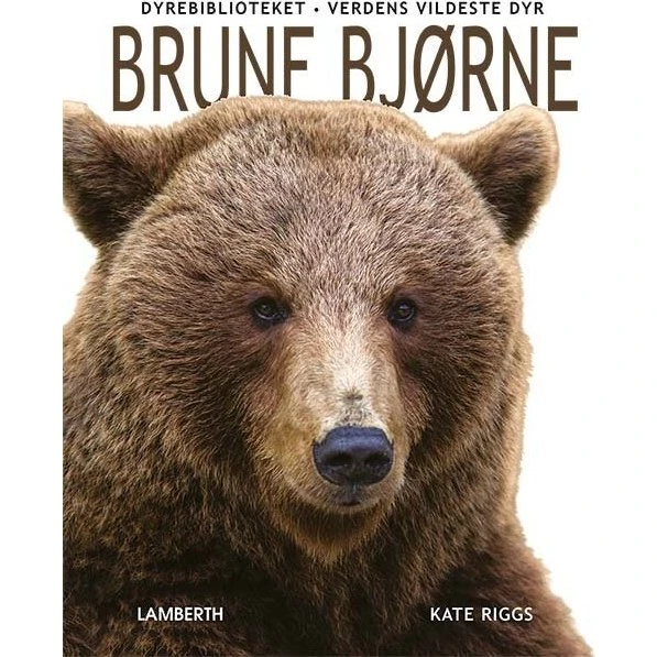 Brune bjørne – naturbog for børn (hardcover)