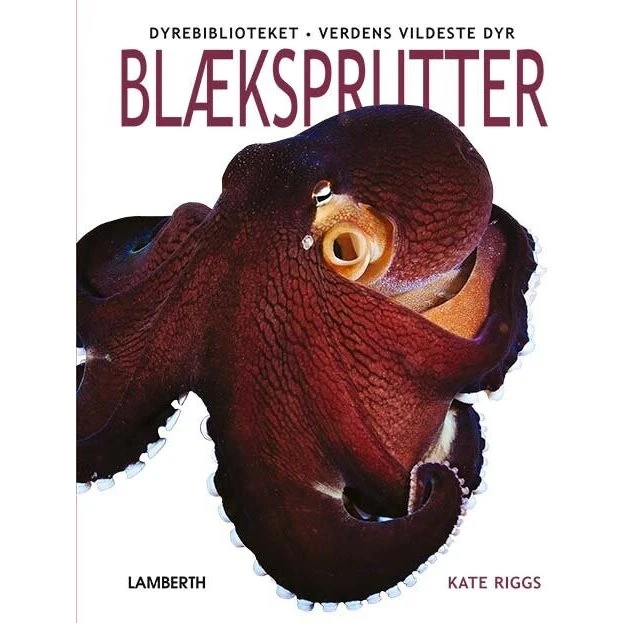 Blæksprutter – børnebog (hardcover)