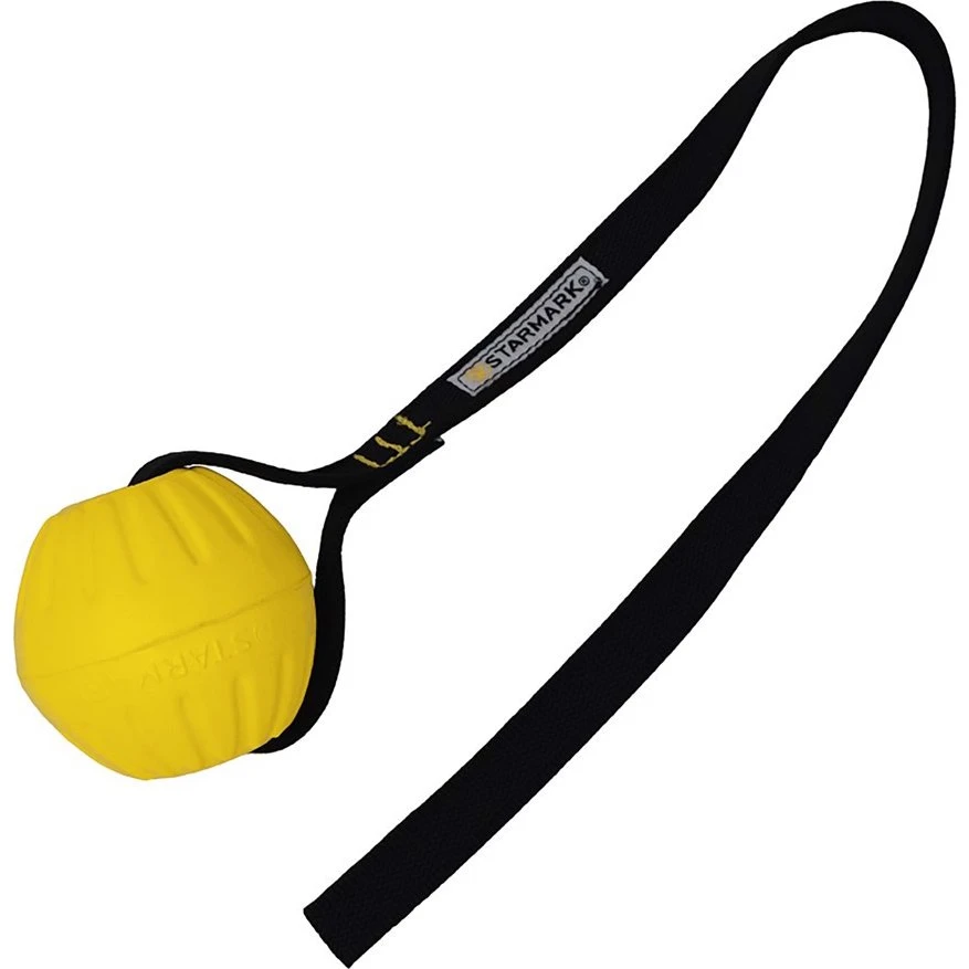 Starmark GripCord DuraFoam Ball, Large