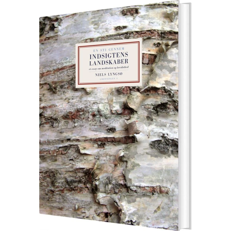 En sti gennem indsigtens landskaber - Niels Lyngsø