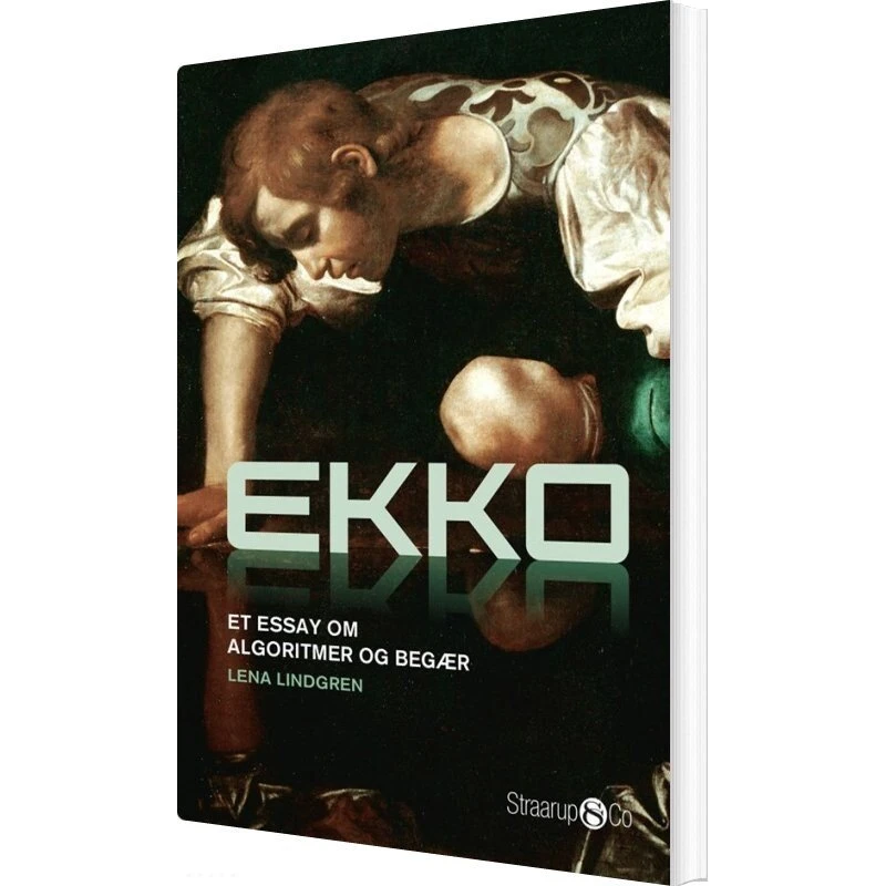 Ekko – essay om algoritmer og begær (Lena Lindgren)