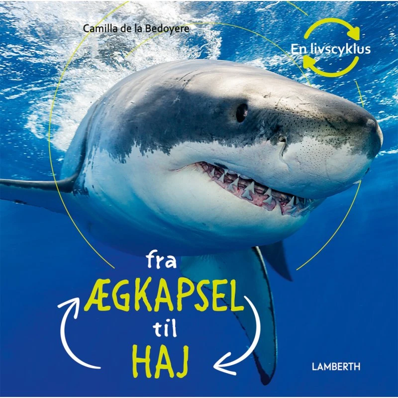 Fra ægkapsel til haj – børnebog (hardcover)