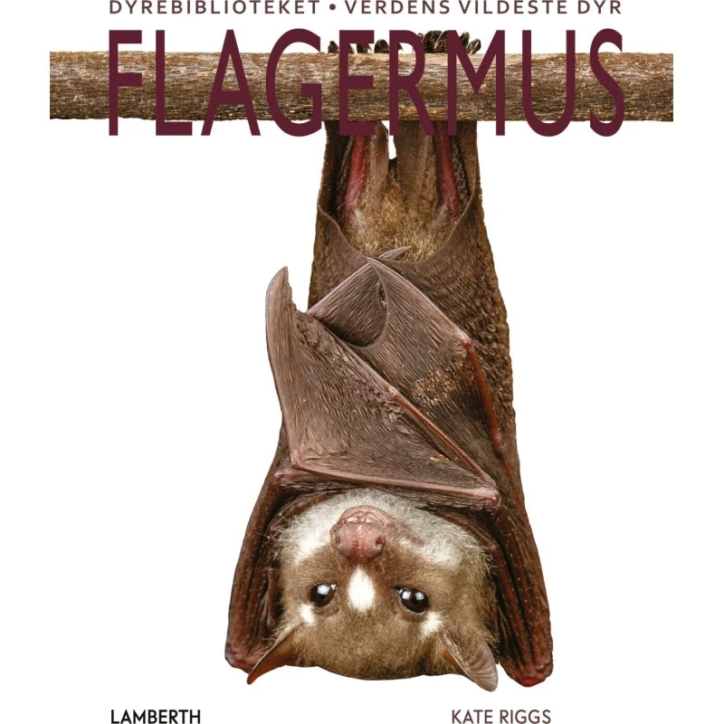 Flagermus - Børnebog (hardcover)