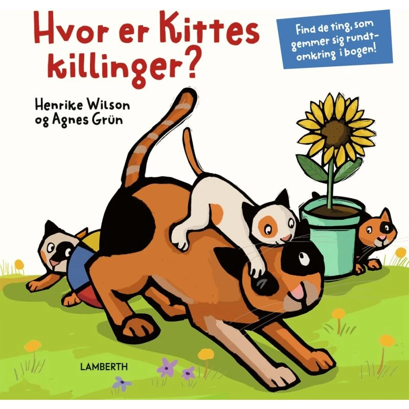 Hvor er Kittes killinger? – Agnes Grün (Hardcover)