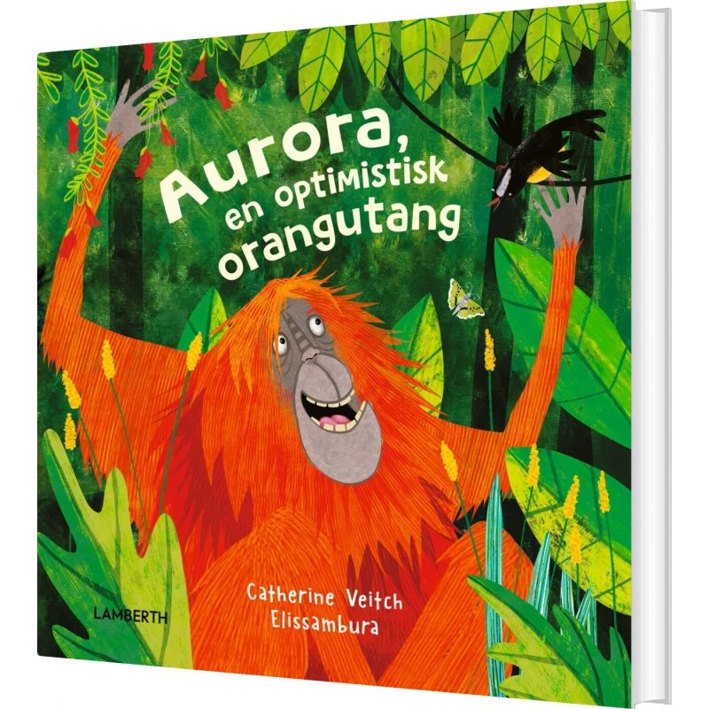 Aurora – En optimistisk orangutang (hardcover)