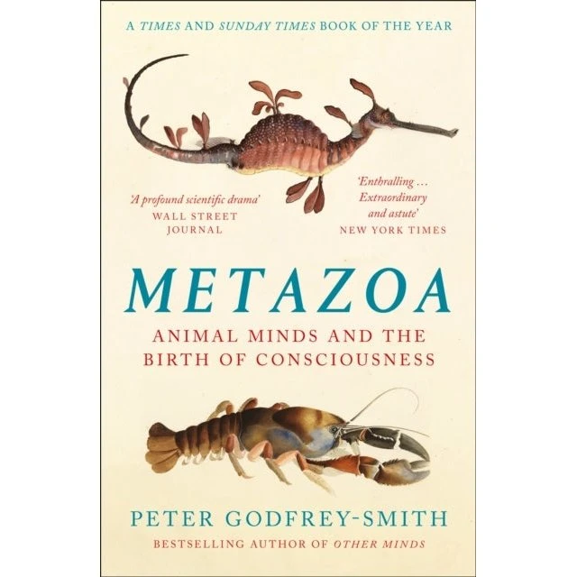 Metazoa af Peter Godfrey-Smith