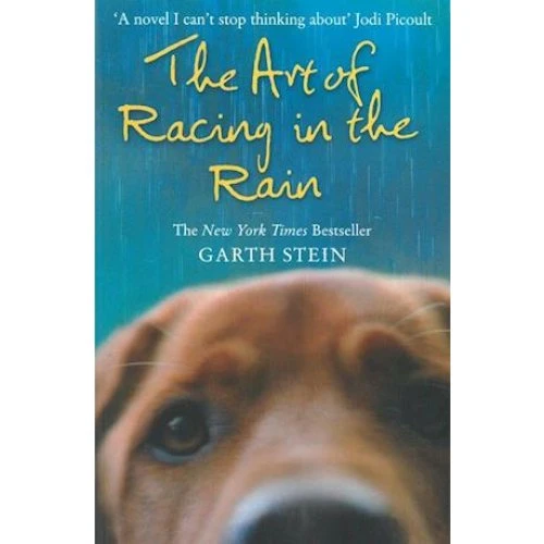 Garth Stein: The Art of Racing in the Rain - Bog