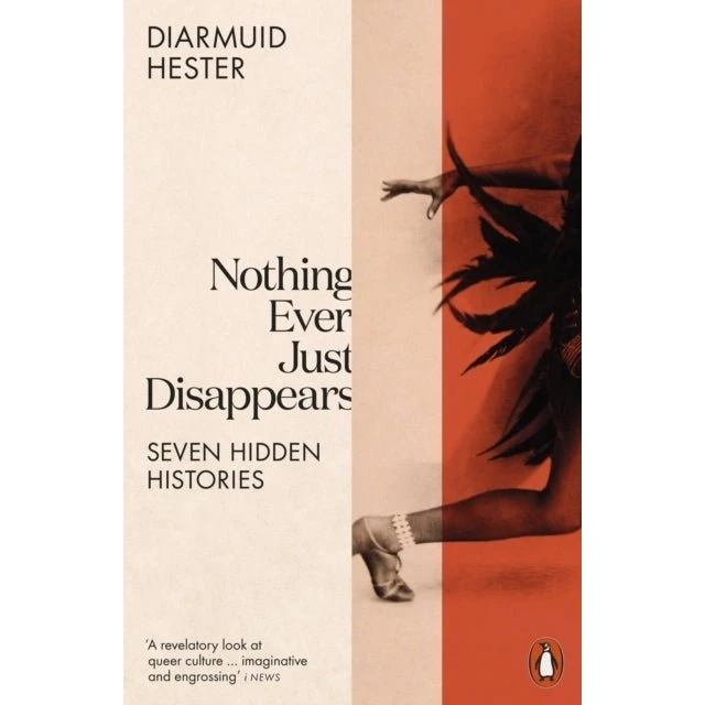 Diarmuid Hester: Nothing Ever Just Disappears