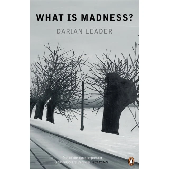 Darian Leader: What Is Madness?