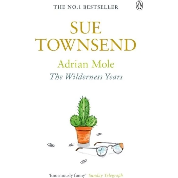 Adrian Mole: The Wilderness Years - Sue Townsend