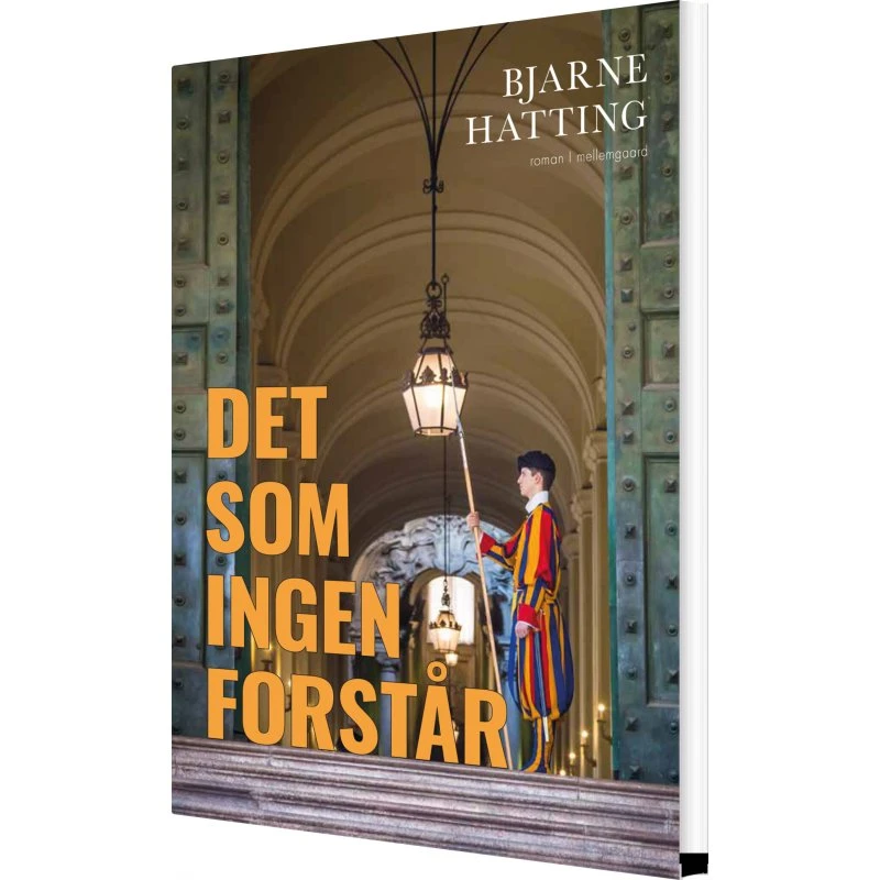 Det som ingen forstår – roman af Bjarne Hatting