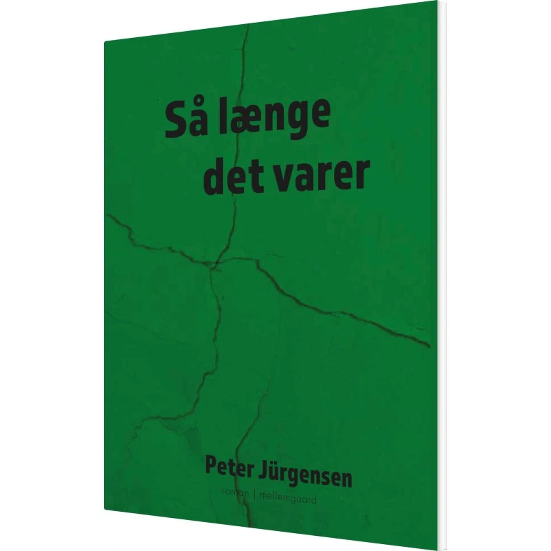 Så længe det varer – Peter Jürgensen (hæftet)