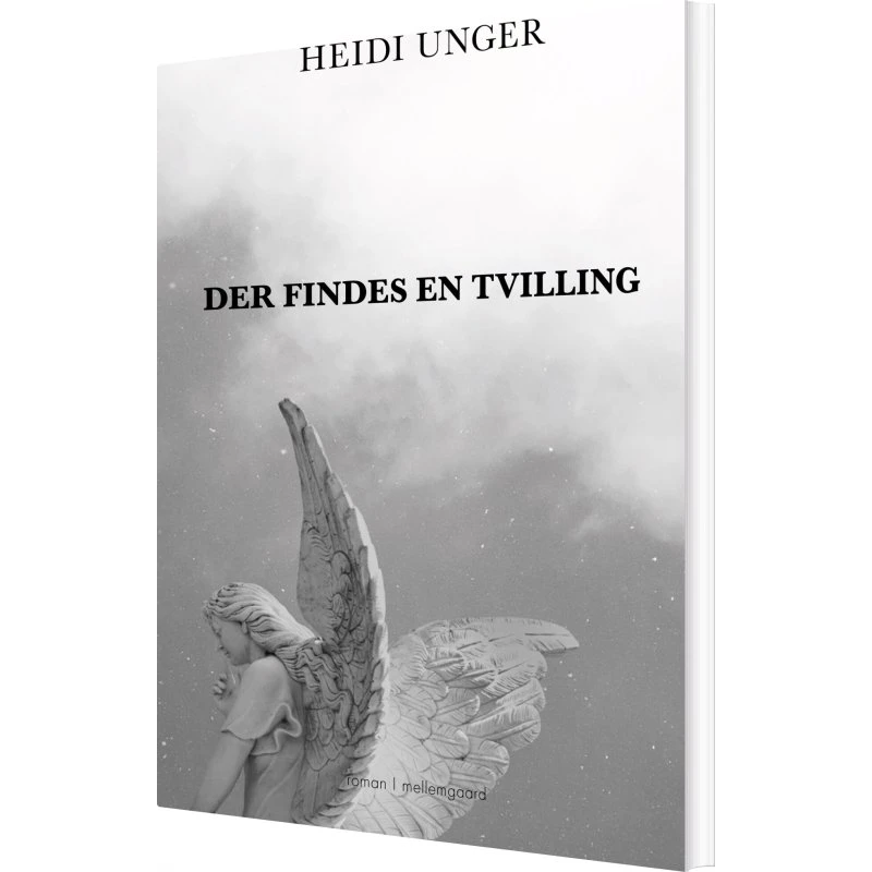 Der findes en tvilling – roman af Heidi Unger