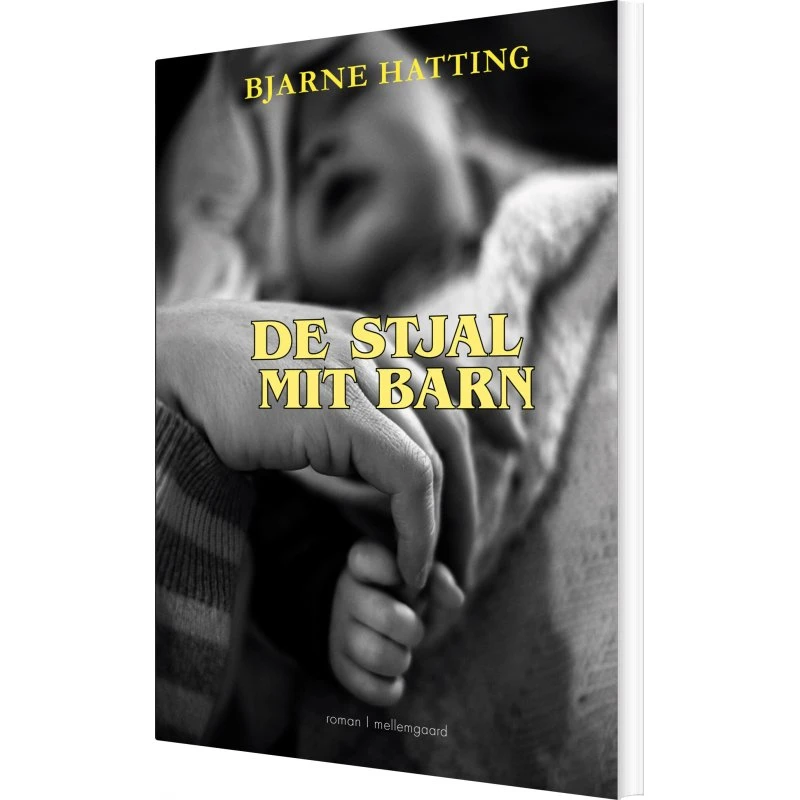 De stjal mit barn – roman af Bjarne Hatting