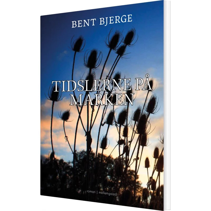 Tidlserne på marken - Bent Bjerge (hæftet)