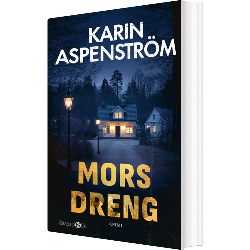 Mors Dreng - Karin Aspenström (krimi & spænding)