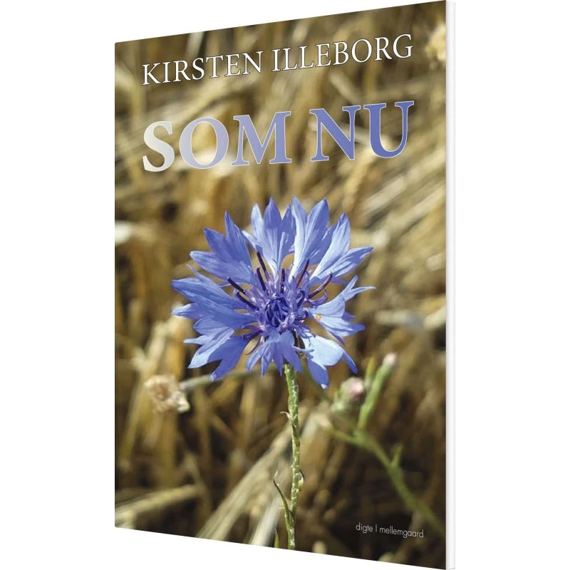 Som Nu — Kirsten Illeborg (digte, hæftet)