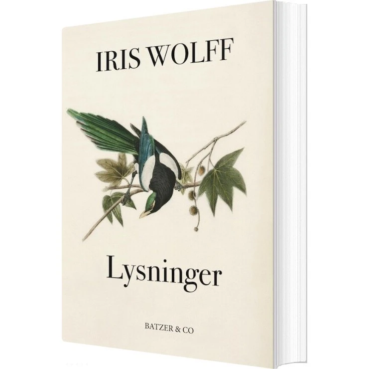 Lysninger – Iris Wolff (hæftet bog)