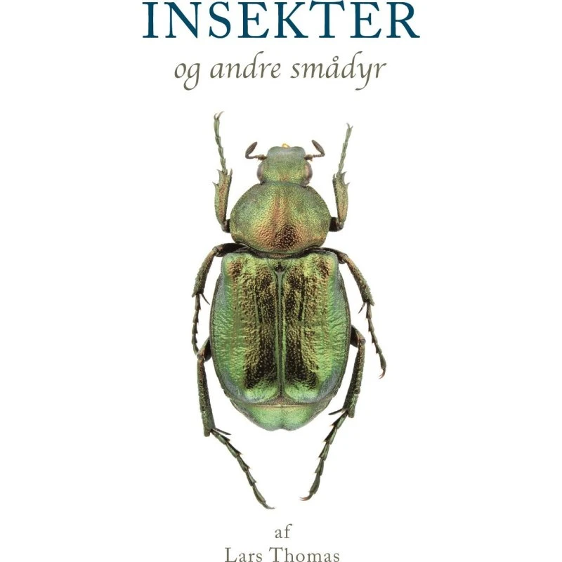 Insekter og andre smådyr – Lars Thomas