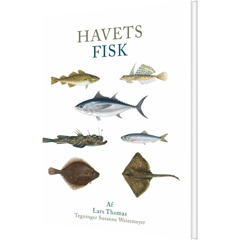 Havets fisk – Natur & Videnskab (hardcover)