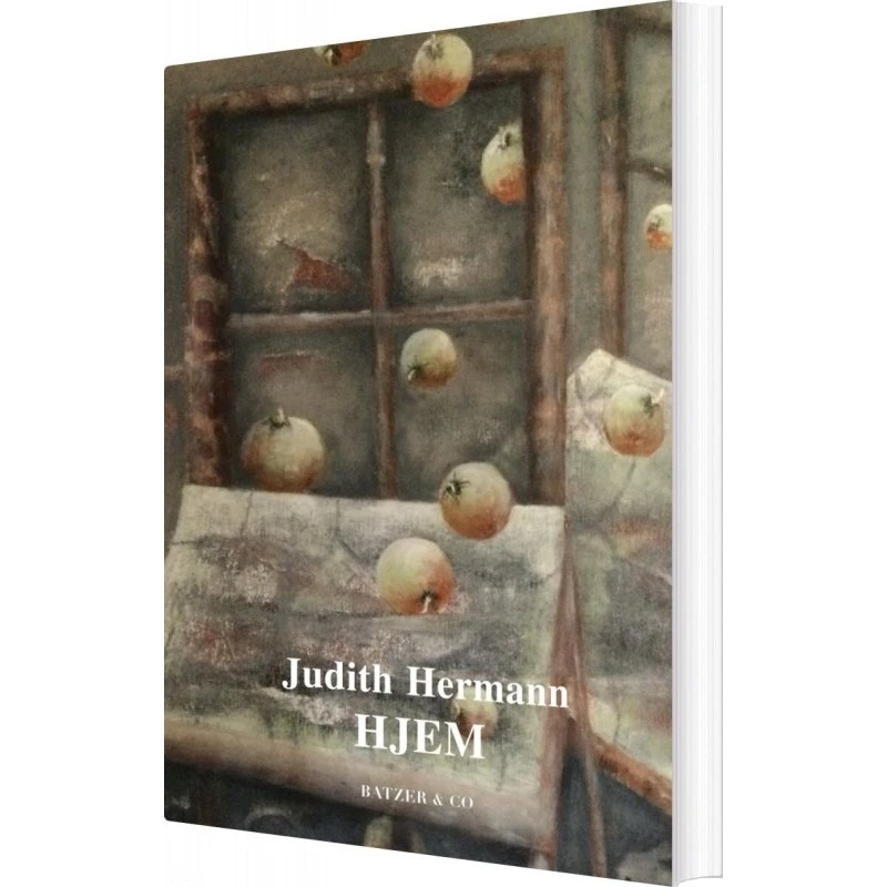 Hjem – Judith Hermann (hæftet)