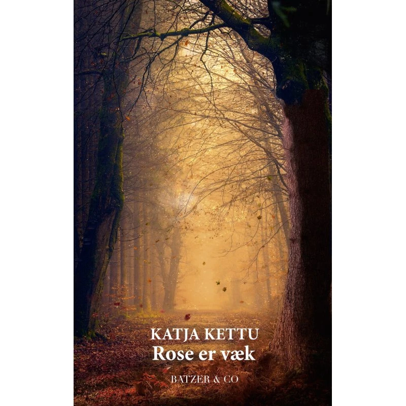 Rose er væk - Katja Kettu