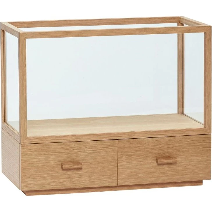 Hübsch Spectacle opbevaringskasse i egetræ med glas, 50x24x47 cm