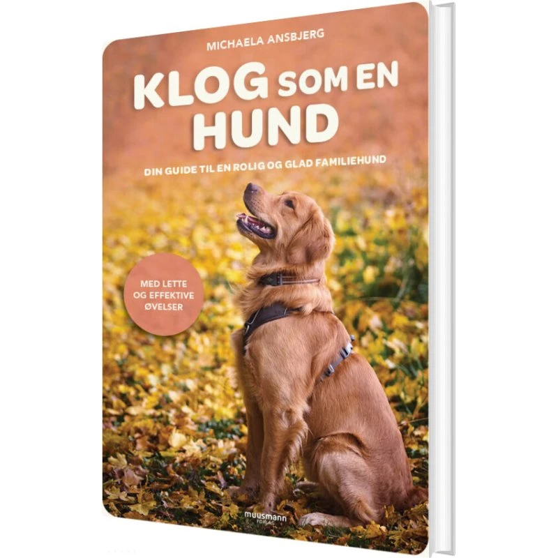 Klog som en hund – guide til en rolig familiehund