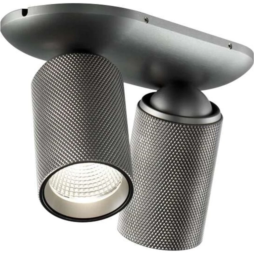 Light-Point Raw 2 Loftlampe Titanium 3000K