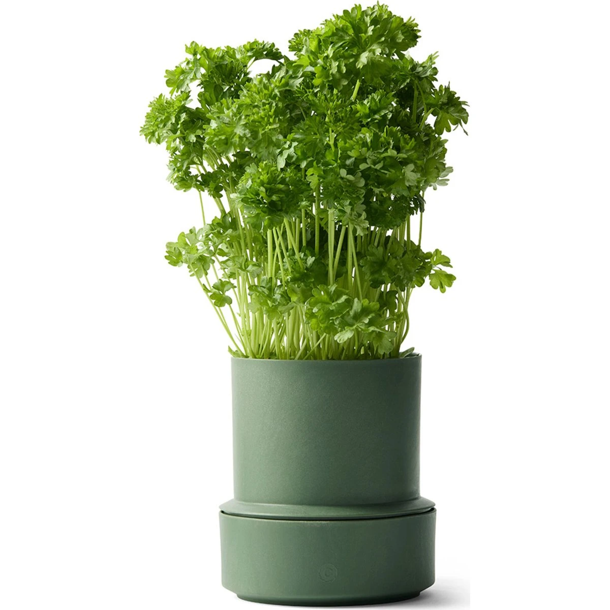 Crushgrind Billund selvvandingspotte - Parsley