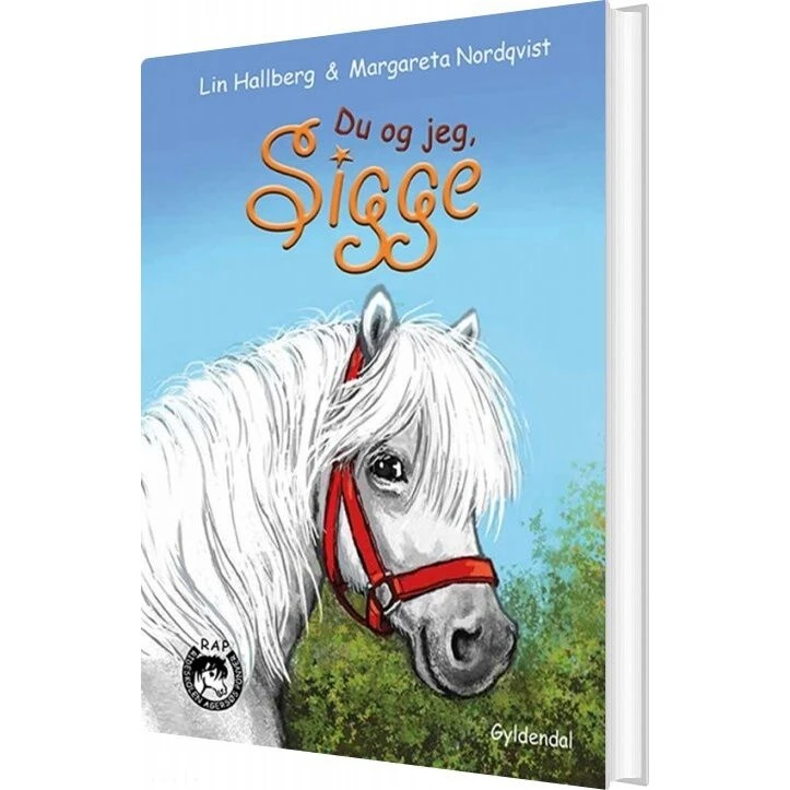 Rap-klubben 13: Du og jeg, Sigge - Lin Hallberg (Hardcover)