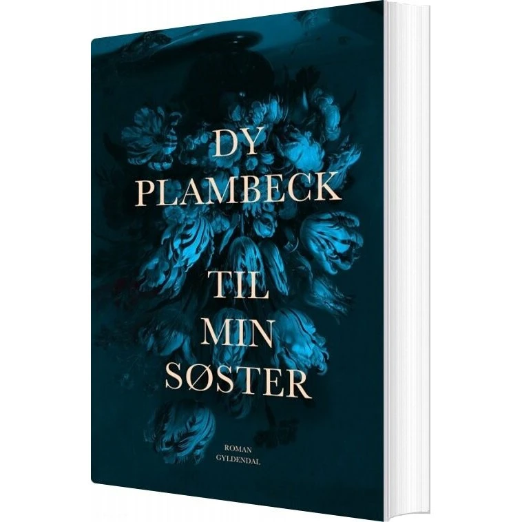 Til min søster – roman af Dy Plambeck