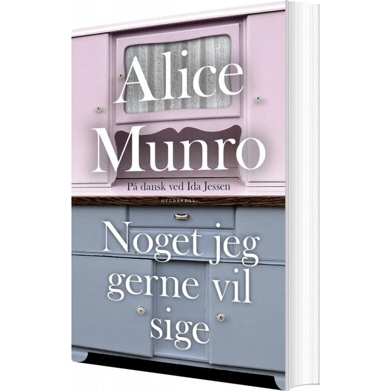 Noget jeg gerne vil sige – Alice Munro (hæftet)