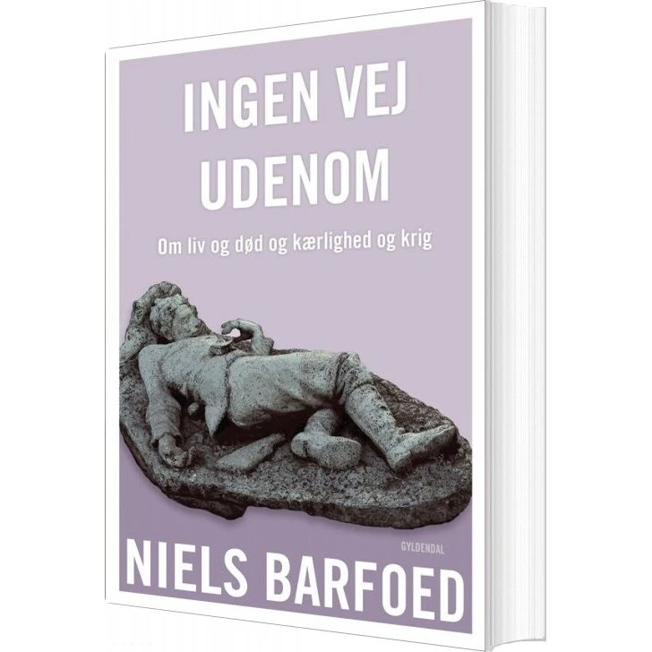 Ingen vej udenom – Niels Barfoed (hæftet)