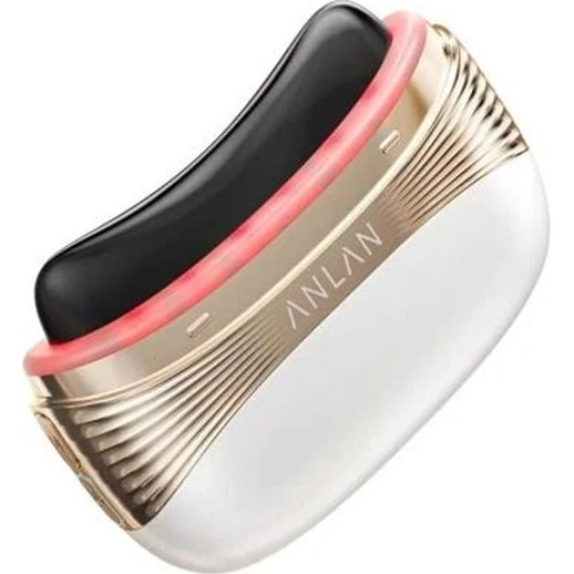 Anlan 02-AGSY53-02A 2-i-1 Ansigts- og hovedbundsmassager