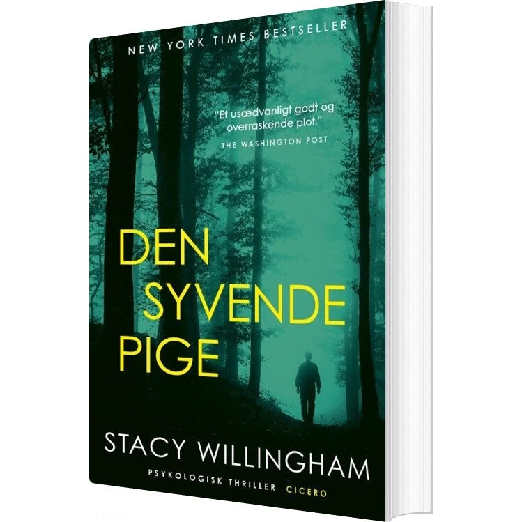 Den syvende pige – Stacy Willingham (krimi/psykothriller)