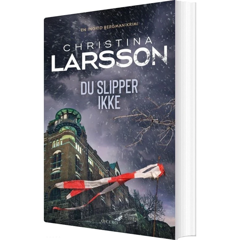 Du slipper ikke – Christina Larsson (Hæftet)