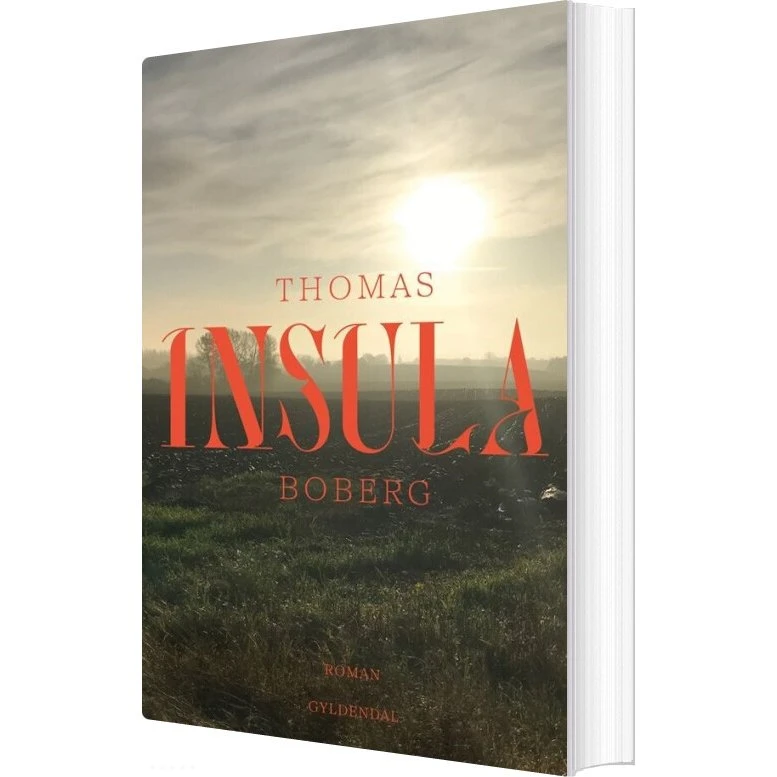 Insula – Thomas Boberg (hæftet)