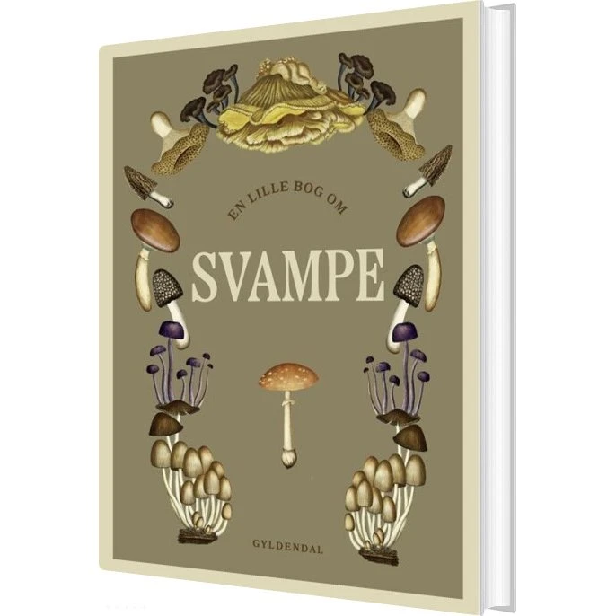 En lille bog om svampe – illustreret guide til Danmarks svampe