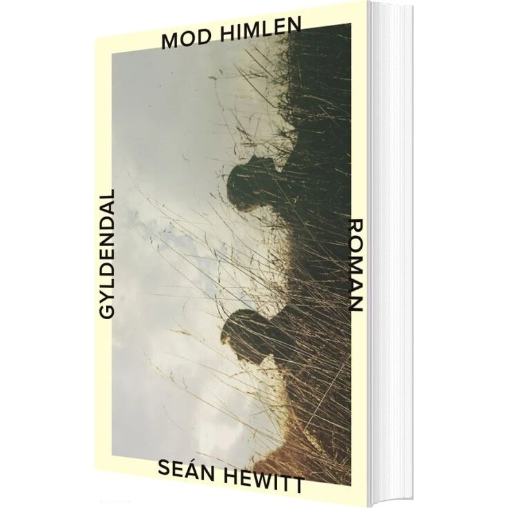 Mod himlen – Seán Hewitt (hæftet)