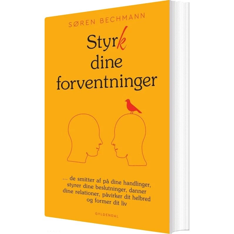 Styrk dine forventninger - Søren Bechmann (hæftet)