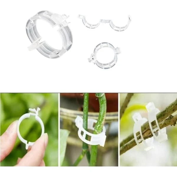 Planteklemmer til plantestøtte/espalier, Transparent, 100-pak