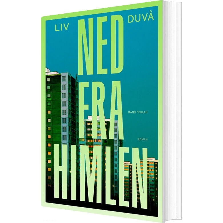 Ned fra himlen – roman af Liv Duvå