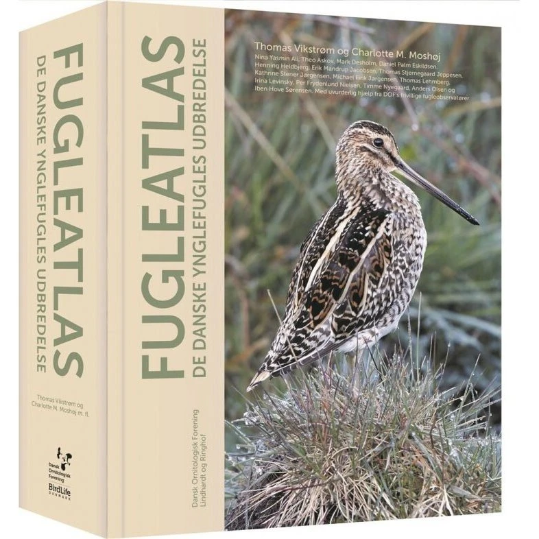 Fugleatlas – De danske ynglefugles udbredelse 2014–2017