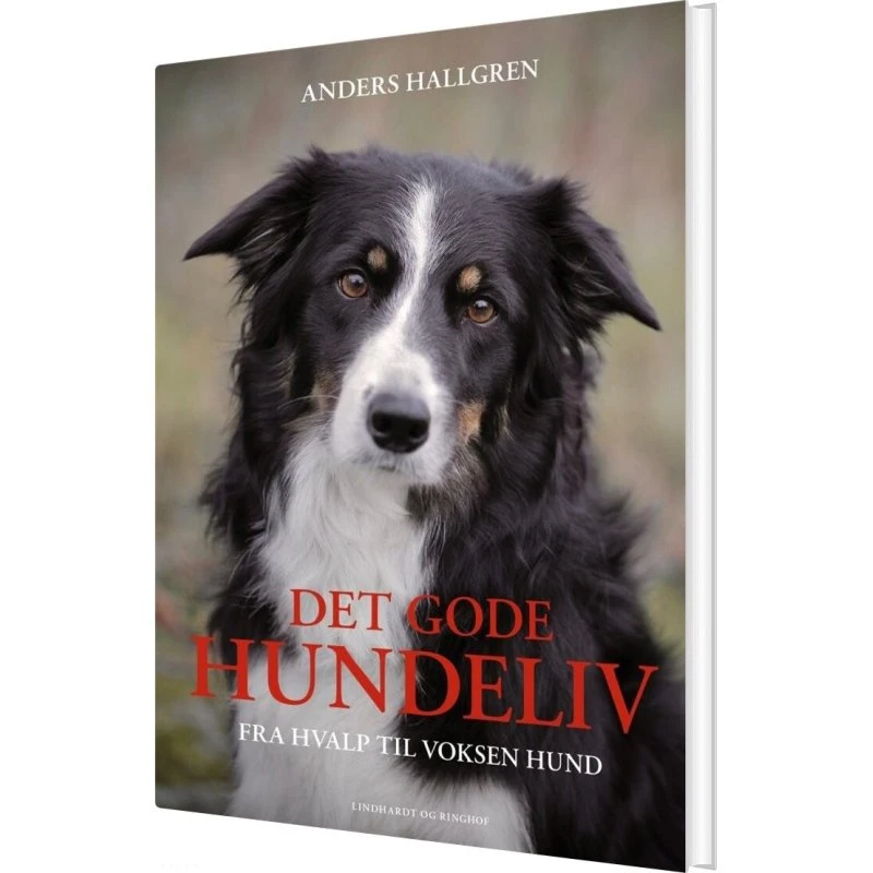 Det gode hundeliv – Anders Hallgren (Hardcover)