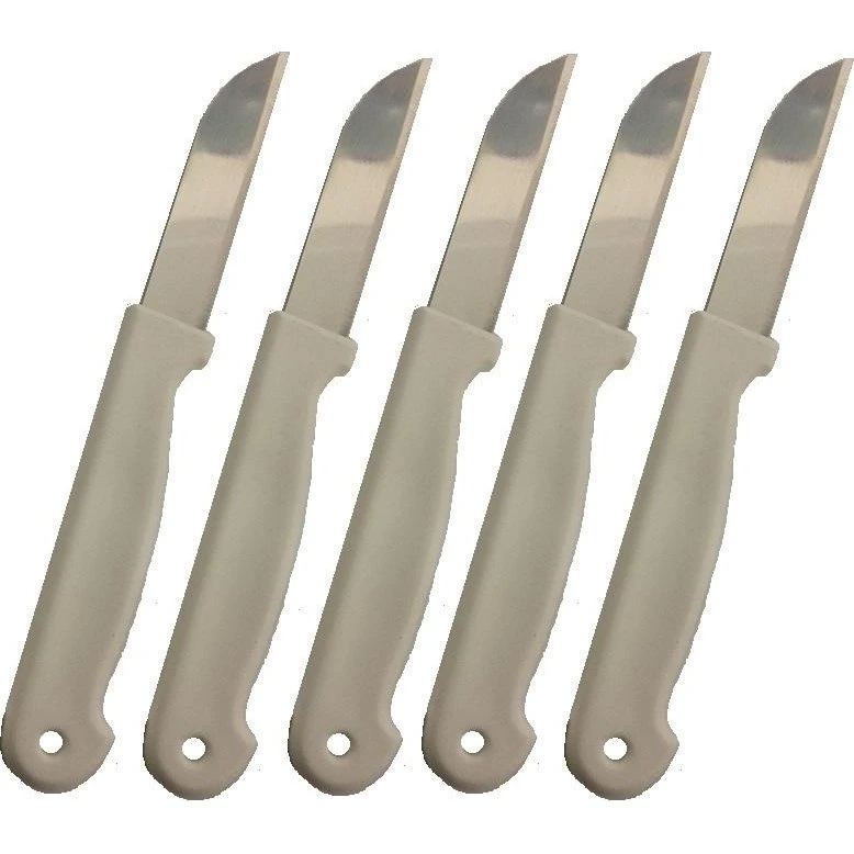 5 stk. Frugtknive i Rustfrit Stål og ABS