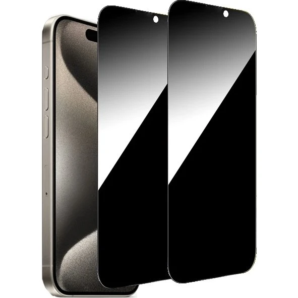 2-Pack iPhone 16 Pro Max Privacy Skærmbeskytter - 9H Hærdet Glas