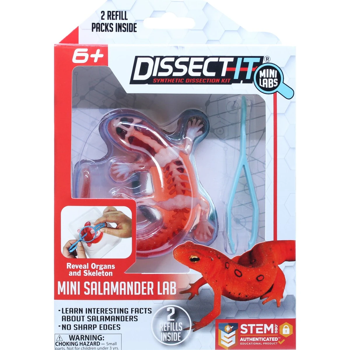 Dissect It - Mini Salamander Lab Legesæt